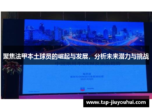 聚焦法甲本土球员的崛起与发展,分析未来潜力与挑战 聚焦法甲本土球员的崛起与发展,分析未来潜力与挑战